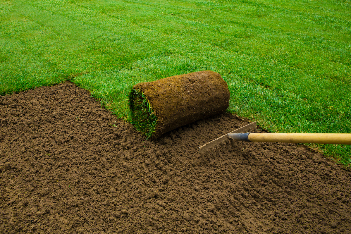 rolling out turf grass