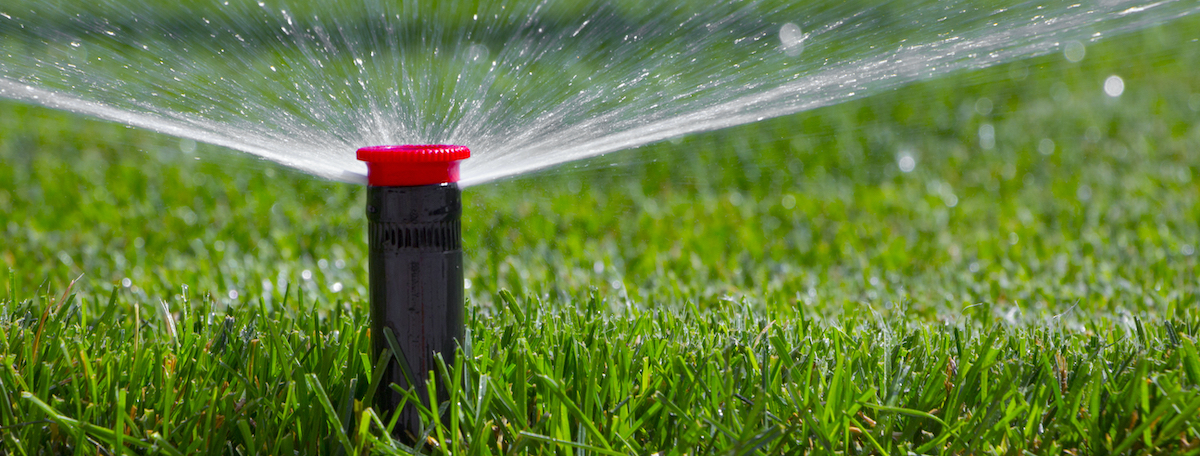 sprinklers on a lawn