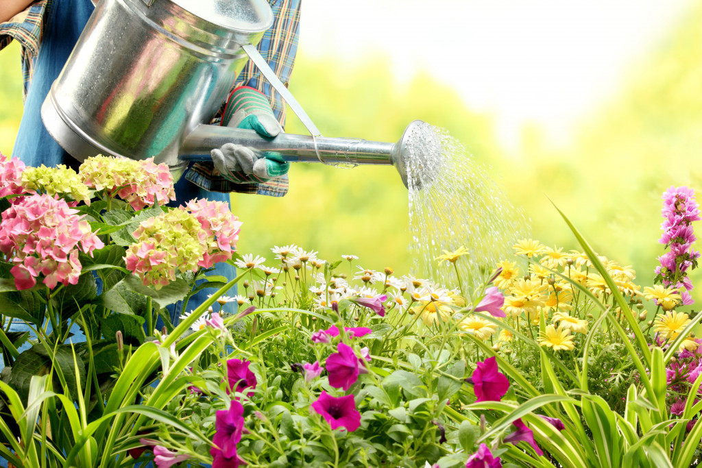 watering plants