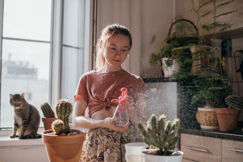 a woman watering her indoor plants