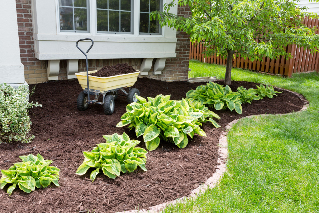 Flowerbeds with mulch