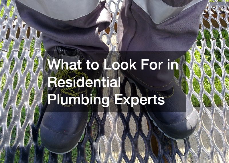 What to Look For in Residential Plumbing Experts