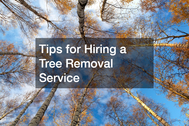 Tips for Hiring a Tree Removal Service