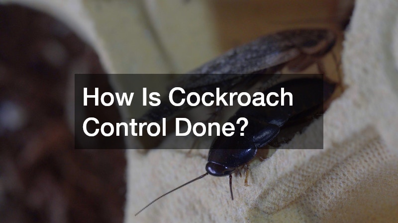 How Is Cockroach Control Done?