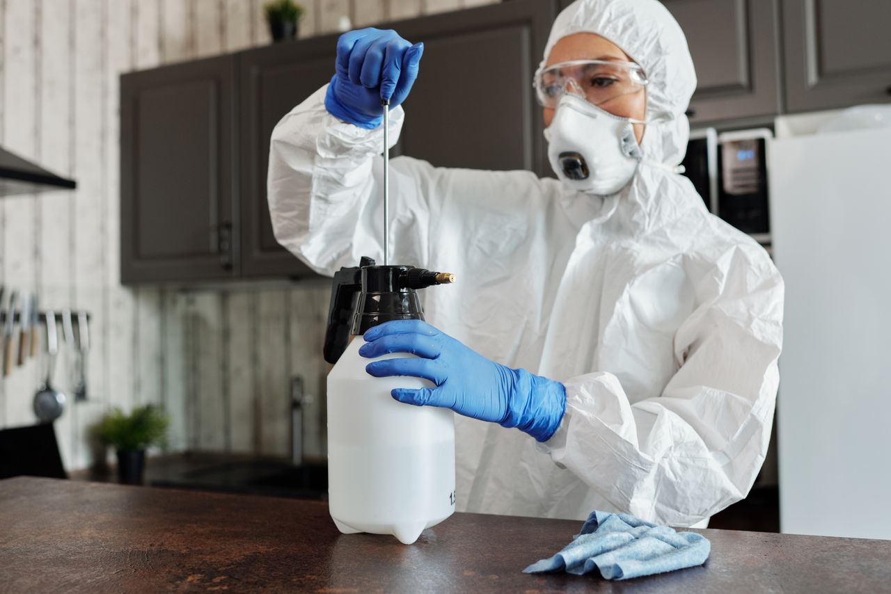 How do professional exterminators control cockroaches?